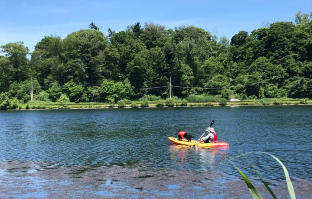 Tarrytown Lake Rentals Kayak Hudson Hudson River Recreation